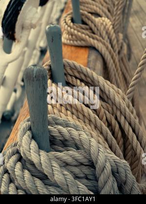Une vue rapprochée de cordes épaisses soigneusement enroulées reposant sur une rambarde en bois usé d'un bateau ou d'un navire, fixées autour de piquets en bois gris clair. L'image Banque D'Images