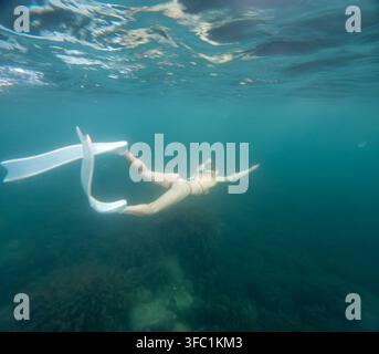 Exploration sous-marine avec une femme élancée glissant à travers une mer bleue claire portant de longues palmes blanches Banque D'Images