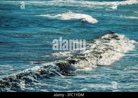 Une vue rapprochée de vagues d'océan bleu foncé se brisant avec une écume blanche et des algues vertes dispersées flottant dans le ressac. Banque D'Images