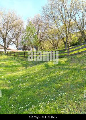 Prairie printanière avec clôture en bois et paysage d'arbres en fleurs Banque D'Images