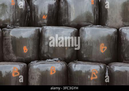 Mur de balles de ensilage noires enveloppées de plastique, empilées soigneusement en rangées, marquées avec des lettres peintes en orange pour le stockage à la ferme. Banque D'Images