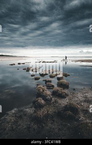 Vue d'une personne marchant avec un chien le long de la côte de Vormsi avec des rochers moussus dans l'eau peu profonde sous un ciel nuageux dramatique dans le comté de Laane, E Banque D'Images