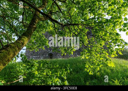 Arbre caché du château de Lydford et de la ville saxonne, Devon UK Banque D'Images