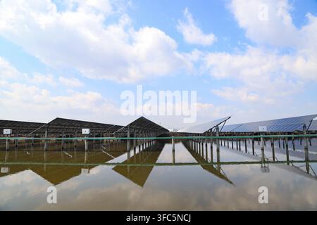 Sous un ciel bleu clair avec des nuages blancs, des rangées de panneaux photovoltaïques solaires sont disposées avec soin sur l'eau, formant un tableau spectaculaire avec un R clair Banque D'Images