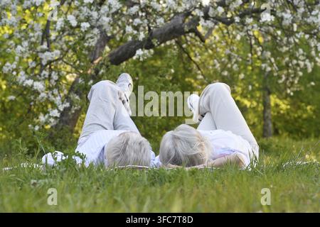Portrait d'un couple de personnes âgées heureuses posant sur l'herbe dans un parc Banque D'Images