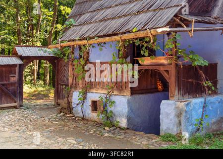 Maison en bois roumaine traditionnelle avec un toit en bardeaux abrupt à côté d'arbres et d'un petit lac Banque D'Images