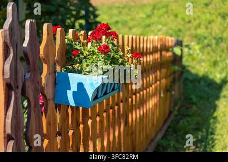 Fleurs de géranium rouges dans un pot bleu fixé à une clôture de jardin en bois rustique Banque D'Images