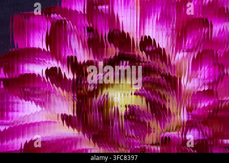 Macro d'une fleur de dahlia magenta derrière un verre cannelé à nervures, photographie florale abstraite avec texture déformée et couleurs vibrantes Banque D'Images