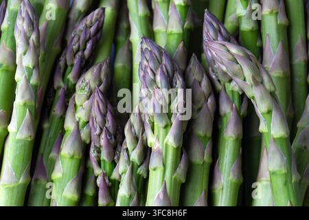 Macro texture en gros plan d'asperges vertes fraîches et crues avec des pointes violettes Banque D'Images