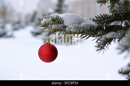 Ornement de Noël rouge sur une branche de pin enneigée dans une forêt hivernale avec neige Banque D'Images