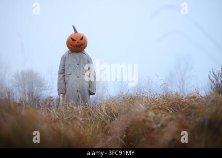 Epouvantail avec une tête de lanterne Jack-o' dans un champ brumeux avec une herbe floue au premier plan. Composition atmosphérique d'Halloween mettant en vedette des couleurs automnales et une faible profondeur de champ Banque D'Images