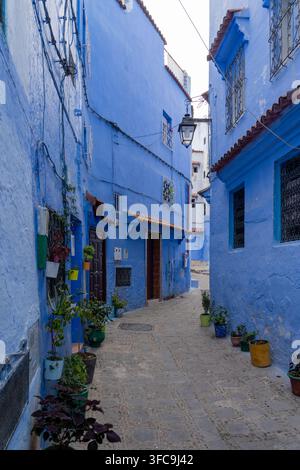 Maisons et rues bleues décorées de pots de fleurs colorés à Chefchaouen, Maroc. Banque D'Images