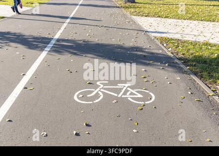Marquages routiers blancs pour les piétons et les cyclistes Les chemins de marche et de cyclisme dans le parc sont séparés les uns des autres. Infrastructure pour la marche a Banque D'Images