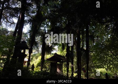 Lanternes traditionnelles en pierre et petit gazebo en bois abrités sous de grands palmiers et un feuillage vert dense dans un cadre de jardin japonais paisible Banque D'Images