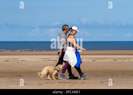Un couple d'âge moyen se promène avec son petit Cockapoo crème sur une plage de sable sous un ciel bleu clair. Southport, Royaume-Uni. Banque D'Images