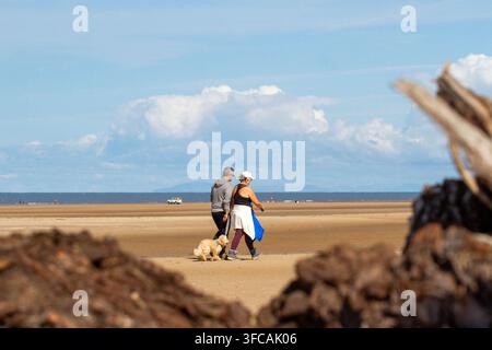 Un couple d'âge moyen se promène avec son petit Cockapoo crème sur une plage de sable sous un ciel bleu clair. Southport, Royaume-Uni. Banque D'Images