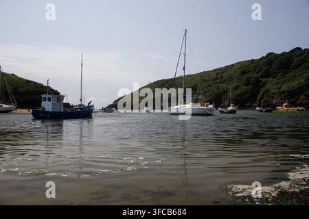 Le port de Solva à Pembroke avec des bateaux amarrés à marée haute où la plage est une étroite bande à l'embouchure de l'estuaire. À marée basse, le port est à sec Banque D'Images