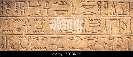 Gros plan de symboles hiéroglyphe égyptiens anciens sculptés sur un mur de pierre, montrant des textures détaillées et l'altération des intempéries, capturant l'écriture historique, cultur Banque D'Images