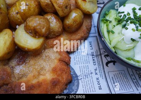 Présentant en gros plan une côtelette de porc frite croustillante garnie de pommes de terre rôties dorées et d'une salade de concombre fraîche. Banque D'Images