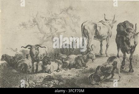 Paysage avec du bétail et une laitière, estampe, Dans un paysage se trouvent plusieurs vaches, chèvres et un chien. Derrière eux se tient une laitière avec un joug sur les épaules., graveur : Jan van Noordt (1623-1676), Amsterdam, d'après un dessin de Pieter Bodding van Laer, 1644 - 1676, papier, eau-forte, gravure, eau-forte et gravure, hauteur 111 mm x largeur 174 mm, chien, chèvre, vache, laitière., Une esquisse monochrome montrant une scène pastorale avec un groupe d'animaux rassemblés sur un sol accidenté ; plusieurs moutons et chèvres sont allongés ou debout, avec un mouton tourné vers l'avant et une autre chèvre aux cornes courbées visible parmi Banque D'Images