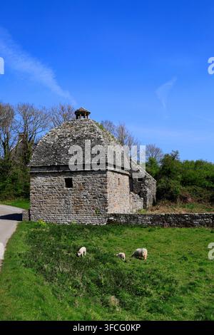Le Colombier de l'église Saint-Seiriols du XIIe siècle, faisant partie du prieuré historique de Penmon, Anglesey, Pays de Galles, Royaume-Uni Banque D'Images