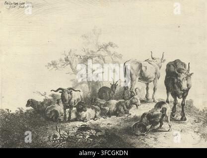 Paysage avec bovins et une traiteuse, estampe, Dans un paysage se trouvent plusieurs vaches, chèvres et un chien. Derrière eux se tient une traiteuse avec un joug sur les épaules., graveur : Jan van Noordt (1623-1676), Amsterdam, d'après un dessin de Pieter Bodding van Laer, 1644, papier, eau-forte, gravure, eau-forte et gravure, hauteur 159 mm x largeur 220 mm, chien, chèvre, vache, traiteuse., Une estampe monochrome détaillée montrant un groupe d'animaux en train de paître et de se reposer dans une scène pastorale, comprenant plusieurs moutons et quelques bovins aux cornes proéminentes, certains debout et d'autres allongés au sol ; une chèvre aux cornes courbées est Banque D'Images