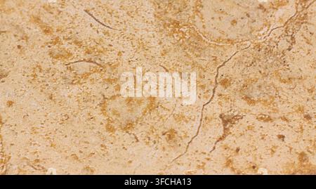 gros plan détaillé d'une surface en marbre beige présentant des motifs et des veines complexes, mettant en valeur la beauté naturelle du matériau pierre Banque D'Images
