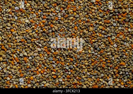 Macro des granulés de pollen d'abeille multicolore biologique. Gros plan des grains de pollen d'abeille naturels en arrière-plan. Tas de superaliments sains biologiques coloré y Banque D'Images