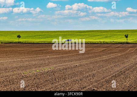 Une petite voiture roule le long d'une route de campagne entre un champ fraîchement labouré et une colline couverte de cultures vertes sous un ciel bleu Banque D'Images