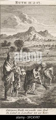 Boaz et Ruth, gravure, d'après une gravure de Jan Luyken, Amsterdam, 1712, Jan Luyken, graveur, d'après une gravure de, papier, eau-forte, hauteur 0 mm x largeur 0 mm, Boaz interroge son serviteur au sujet de Ruth. Une gravure de paysage montre un premier plan avec plusieurs personnages travaillant et debout parmi de hautes herbes, dont une femme se penchant pour ramasser des tiges et d'autres debout à proximité dans de longs vêtements drapés, tandis que d'autres personnages sont visibles plus loin dans les champs. Au plan moyen, un groupe d'arbres et un grand arbre semblable à un palmier s'élèvent depuis les terres cultivées, avec des champs en terrasses ou labourés qui s'étendent vers le Banque D'Images