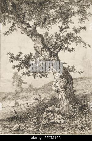 Paysage vallonnée avec un arbre tordu et deux promeneurs, gravure, Dans un paysage vallonné, avec un arbre tordu au premier plan, un homme et une femme marchent avec deux chiens., graveur : Martinus Antonius Kuytenbrouwer jr., Paris, 1845, papier, eau-forte, roulette, eau-forte et roulette, hauteur 221 mm x largeur 143 mm, chien, arbres, 'en route', voyageur en chemin., Un dessin à l'encre détaillé d'un grand arbre noueux dominant la scène avec un tronc épais et tordu montrant une écorce texturée et des excroissances noueuses, des branches s'étendant vers l'extérieur avec des grappes de petites feuilles rendues en traits fins, et un feuillage remplissant une grande partie Banque D'Images