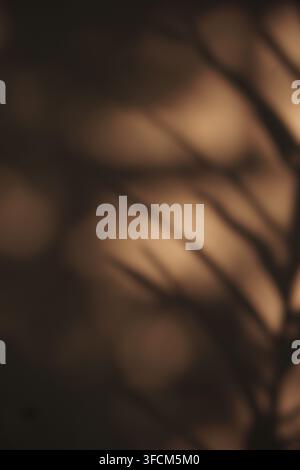 Une image floue et atmosphérique mettant en avant les ombres douces de branches d'arbres sur une surface chaude à tons sépia. Idéale pour les designs minimalistes et les esthétiques sombres Banque D'Images