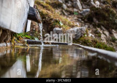 L'eau de source claire jaillit d'un bec en bois patiné dans un abreuvoir rustique, évoquant une tranquillité rurale et un héritage alpin. Banque D'Images
