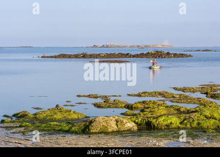 Person faisant du kayak sur des eaux calmes le long de la côte rocheuse et couverte d'algues près de Portivy, péninsule de Quiberon, Morbihan, Bretagne, France. Banque D'Images