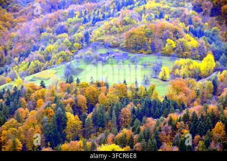 Une vue aérienne époustouflante d'une forêt automnale colorée entourant une prairie verte avec une ferme traditionnelle, mettant en valeur un feuillage d'automne éclatant dans différentes nuances Banque D'Images