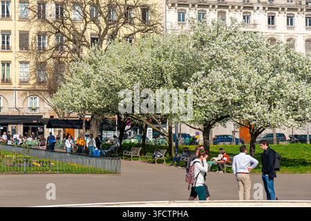 Lyon, France - 08 mars 2026 : Une journée ensoleillée à Lyon, en France, met en valeur les arbres en fleurs et les bâtiments européens classiques le long d'une large avenue Banque D'Images