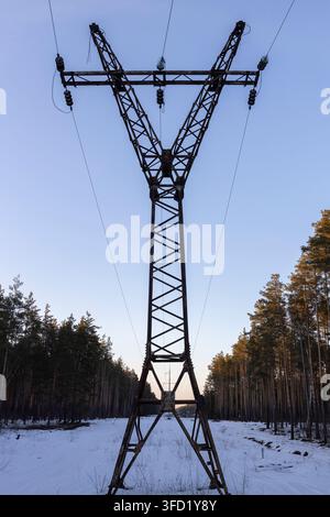 Paysage d'hiver de lignes électriques dans un champ enneigé près de la forêt Banque D'Images