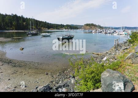 Petits bateaux flottant dans les eaux peu profondes du port de Heriot Bay à marée basse sur Quadra Island, Colombie-Britannique, Canada. Banque D'Images