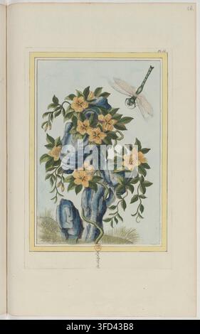 Une illustration botanique de 1776, dirigée par Pierre-Joseph Buchoz, présentant des plantes à fleurs de Chine et d'Europe entrelacées autour d'un rocher avec une libellule posée au-dessus. Banque D'Images