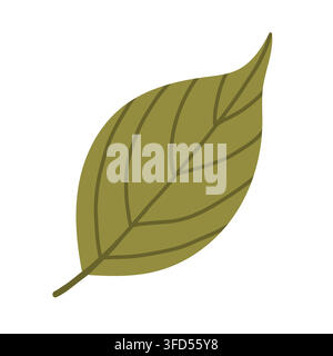 Vecteur de feuille de hêtre vert olive isolé sur fond blanc. Illustration minimaliste et plate de feuillage pour des graphismes de transition automnale saisonniers, le branding éco et Illustration de Vecteur