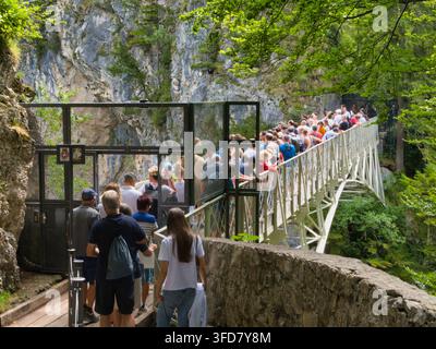 Neuschwanstein, Allemagne - 06 juil. 2026 : Les visiteurs traversent le pont Queen Mary dans une gorge forestière rocheuse près du château de Neuschwanstein en Bavière, Allemagne Banque D'Images
