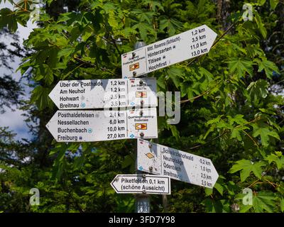Ravennaschlucht, Allemagne - 08 juil. 2026 : Des panneaux de randonnée érodés indiquent des itinéraires près du ravin de Ravenne dans la Forêt Noire en Allemagne, encadrés par une végétation estivale luxuriante Banque D'Images