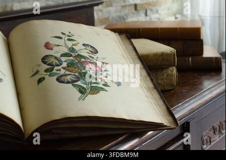 Livre botanique antique ouvert sur une illustration coloriée à la main de fruits, exposé avec de vieux livres sur une table en bois sombre. Banque D'Images