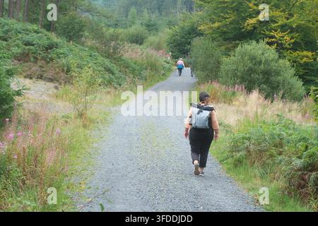 Sentier de randonnée dans le Galloway Forest Park près de Black Loch au nord-est de Newton Stewart dans le sud-ouest de l'Écosse en août 2026 Banque D'Images