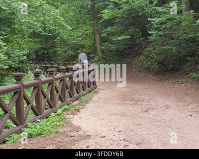 Une personne est assise sur une clôture en bois décorative le long d'un chemin de terre sinueux traversant une forêt luxuriante et verte. La clôture présente des barreaux en forme de X et Banque D'Images