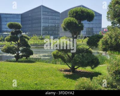 Un paysage urbain moderne mettant en scène des bâtiments de bureaux contemporains avec des toits incurvés distinctifs et des façades en verre verticales en arrière-plan. Le Banque D'Images