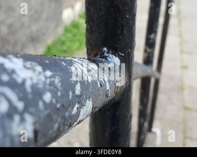 Photographie en gros plan des barres d'une clôture en métal noir usée montrant une peinture nettement écaillée et ébréchée à un joint soudé. Le tube métallique horizontal Banque D'Images