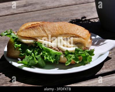 Un délicieux sandwich au thon et œuf dur servi dans un baguette doré et croustillant. Superposé de laitue verte fraîche et de mayonnaise, présenté sur Banque D'Images