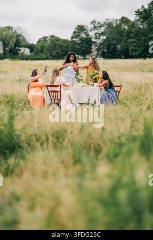 Groupe de femmes diversifiées célébrant lors d'un dîner en plein air Banque D'Images