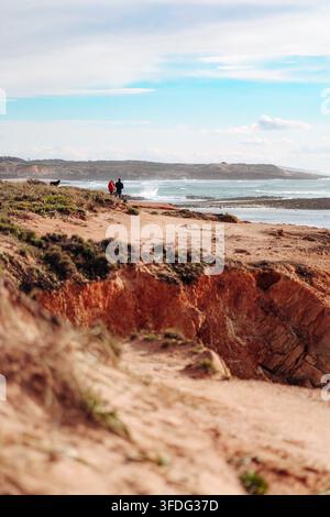 Couple et leurs chiens sur une falaise côtière Banque D'Images